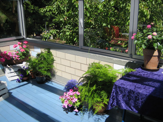 IMG_5234-Terrasse-Nordseite-2-560