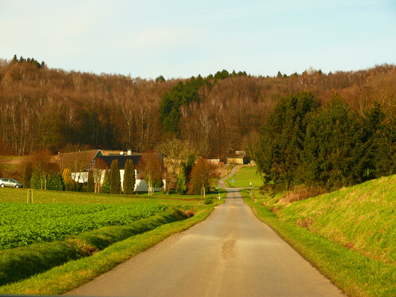 P1050351-Ahlsen-Reineberg (H�llhorst) - Zum Brink-560