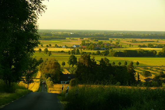 P1070418-Nettelstedt (L�bbecke) - Steiler Weg-560