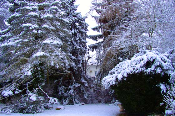 P3036624-Garten im Schnee - rechte Seite B560