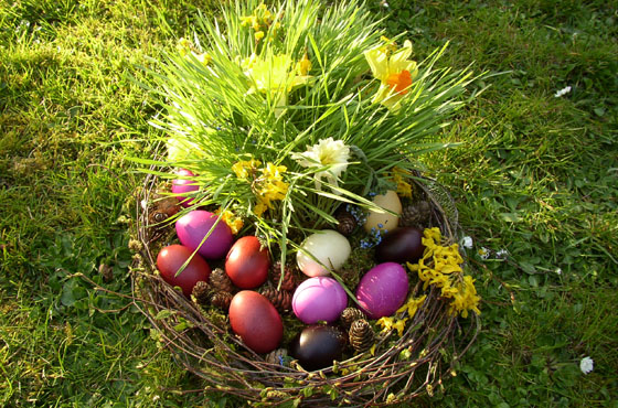 P4088879-Ostereiernest im Garten-2