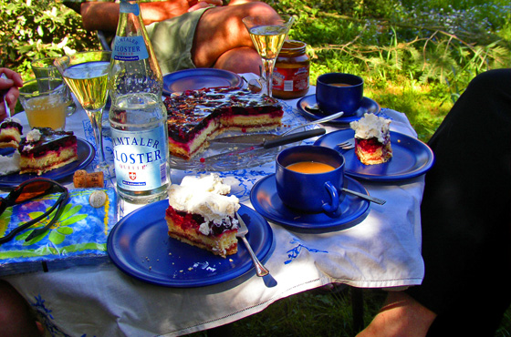 P5041016-Beerentorte mit Kaffee & Sekt im Garten-560