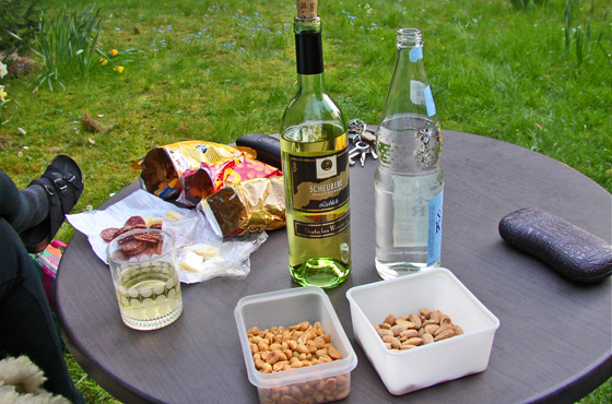 P5041042-Weintrinken im Garten-1-560