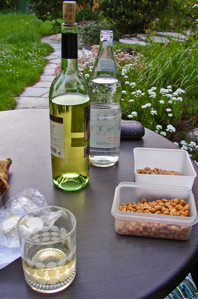 P5041046-Weintrinken im Garten-3-H600