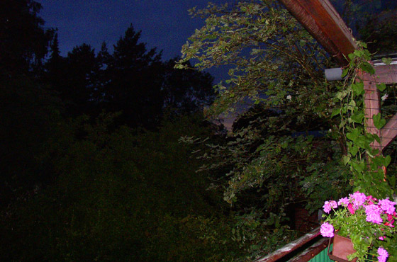 P6257660-Terrasse_nach_dem_sommerlichen_Gewitterregen