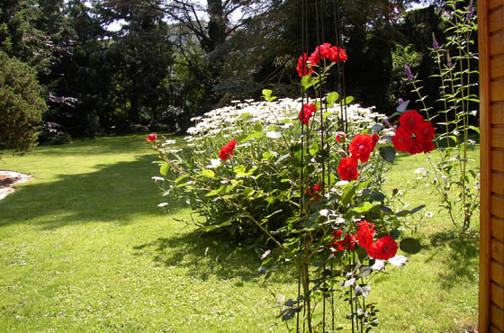 P7127826-Der Garten vom Fahrradh�ttchen aus