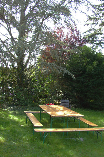 P9114752-Garten mit Bierzeltgarnitur