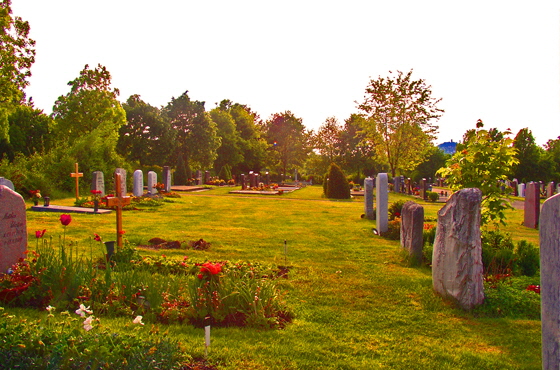 03-P5161291-Friedhof-Nachmittagssonne-2-560