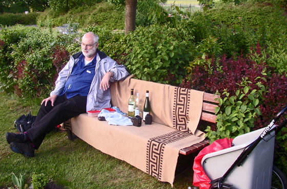 03-P5161329-Kater auf Friedhofsbank-560
