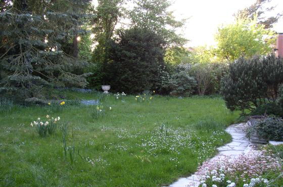 04-Gartenwiese mit Blumen-2-P5041032-560