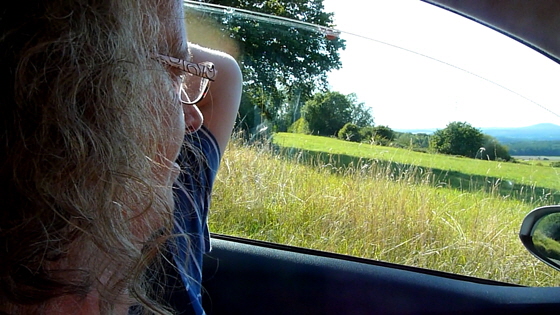 19-09-15-Höhe bei Treis-560 19-09-15-Höhe bei Treis-560