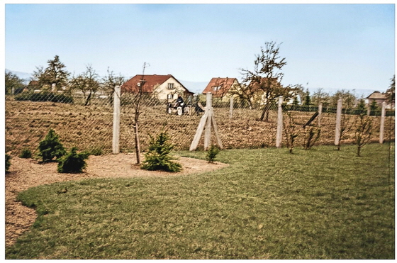 1961- Garten Color, Struktur hell-560