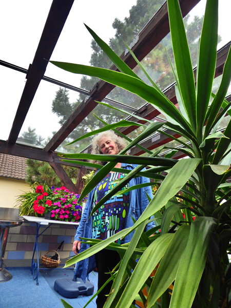 21-P1000472-Hase-Terrrasse, Color5-H600