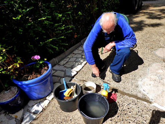 22-P1010551-Kater repariert mit Estrich-1, color5-560 22-P1010551-Kater repariert mit Estrich-1, color5-560