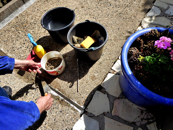 22-P1010557-Kater repariert mit Estrich-2, color5-560 22-P1010557-Kater repariert mit Estrich-2, color5-560