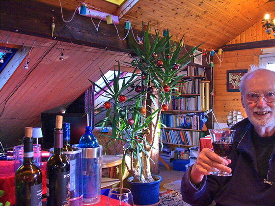 25-P1100225-Kater-unterm Dach 2025, aufgehellt, telezoom-560-2