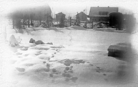 60-01-Nr-014-Garten im Schnee-denoise-inpaint-b+w-560