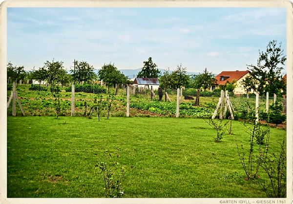 61-Garten und Pony's, maximale Details-560 61-Garten und Pony's, maximale Details-560