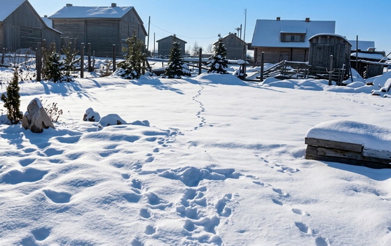 62-von Gemini aufgepepptes Garten-Schneebild-560