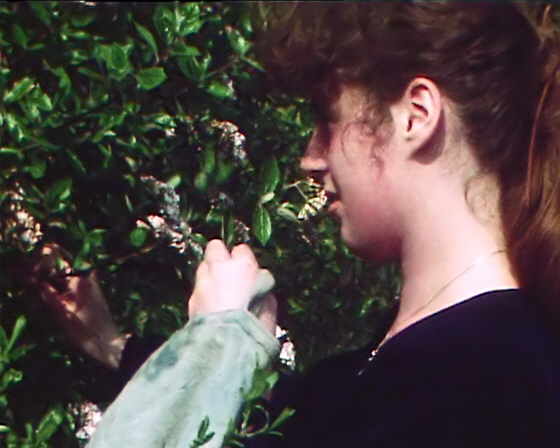 80-738-Milch_-_Honig-Has