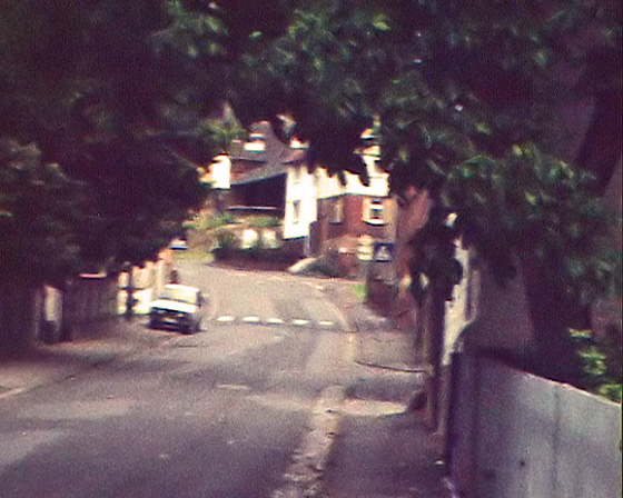 80-Super8-Kurzeck-0363-Der Nußbaum-nah-B560 80-Super8-Kurzeck-0363-Der Nußbaum-nah-B560