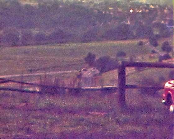 80-Super8-Kurzeck-1433-Blick Richtung Odenhausen-B560 80-Super8-Kurzeck-1433-Blick Richtung Odenhausen-B560