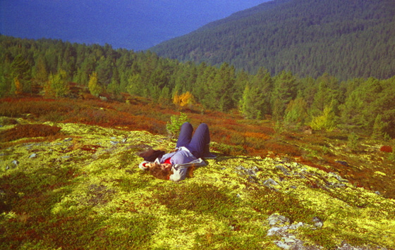 81-10-0015-Rondane-Barbara im Moos-560