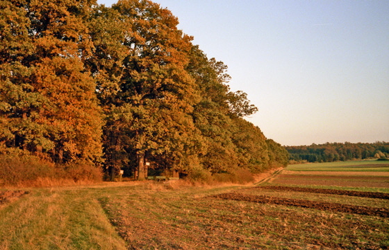 83-10-0018-Annerod-Peter Wolfes Rod-560 83-10-0018-Annerod-Peter Wolfes Rod-560