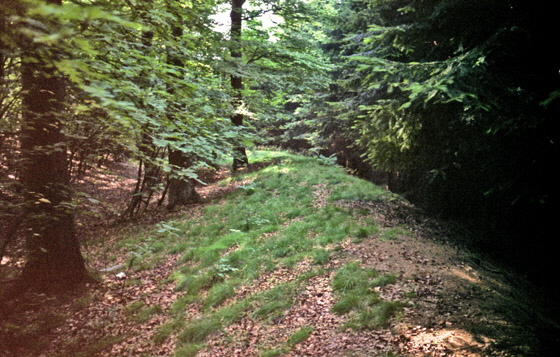 84-03-0019-Kelten-Ringwall-560 84-03-0019-Kelten-Ringwall-560