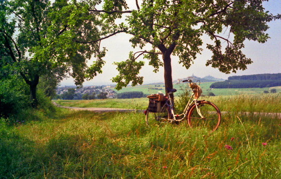 84-03-0031-Rast - Vetzberg, Gleiberg-560 84-03-0031-Rast - Vetzberg, Gleiberg-560