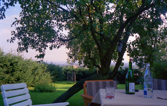 88-11-040-Tante Gerdas Garten-560 88-11-040-Tante Gerdas Garten-560