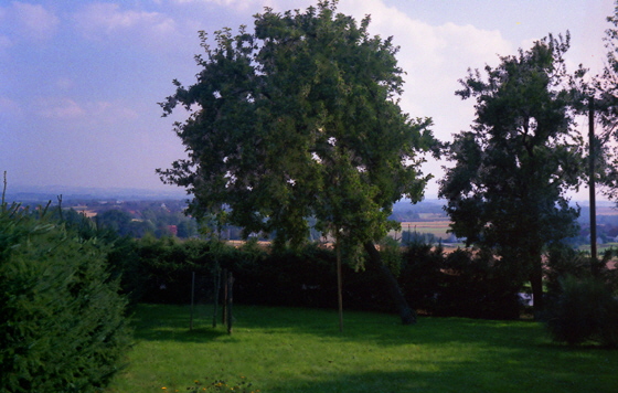 88-11-045-T.Gerda-Garten-Blick Richtung Hüllhorst-560 88-11-045-T.Gerda-Garten-Blick Richtung Hüllhorst-560