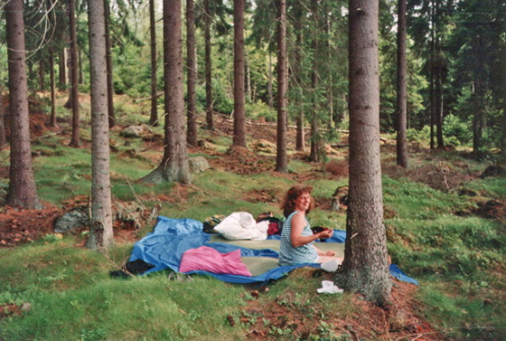 92-Schweden-Plätzchen im Wald-560 92-Schweden-Plätzchen im Wald-560