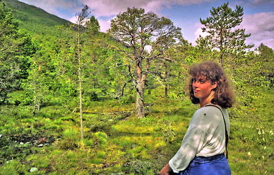 92-img322-Norwegen 1992 - Hase in der Pampa, corel, pse7, sharpen, color5,pse7a, impaint-560 92-img322-Norwegen 1992 - Hase in der Pampa, corel, pse7, sharpen, color5,pse7a, impaint-560