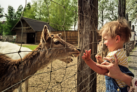 93-img053-Hochwart 1993 - Jonas+Lama, pse7, Feine Struktur, impaint-560