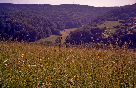 96-06-Nr-029-Spessart-sharpen-color5-560 96-06-Nr-029-Spessart-sharpen-color5-560