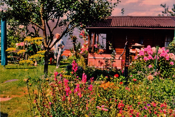 97-Gretchens & Werners Gartenparadies-1, sharpen,color5-B560 97-Gretchens & Werners Gartenparadies-1, sharpen,color5-B560