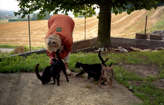 98-09-K2-Katzen von Kottkamp-Kalle-560 98-09-K2-Katzen von Kottkamp-Kalle-560