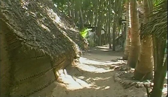 AltGoa-0051-Coconut-Village-560