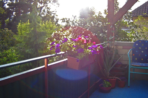 DSC06857-Terrassenblumen mit Sonne-gemalt-560