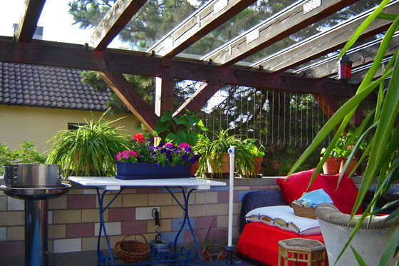 DSC06864-Blumenkasten - Juni 2016-560