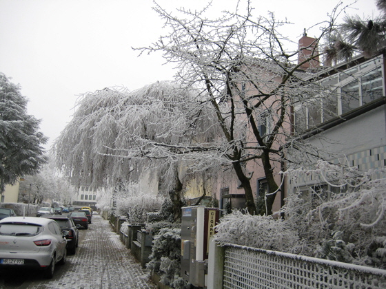 IMG_9590-Raureifstra�e am Haus-560