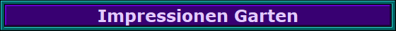 Impressionen Garten