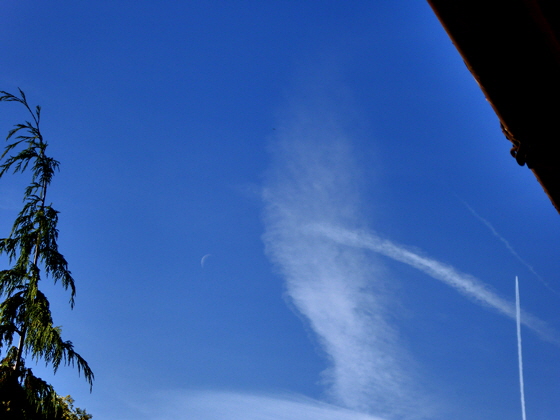 P1000618-Flugverkehr-1, color5, denoise, pse7-560 P1000618-Flugverkehr-1, color5, denoise, pse7-560