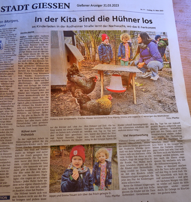 P1040040-Hühner im Kila-Garten, pse7, pn, cpspro, color5-2-B650 P1040040-Hühner im Kila-Garten, pse7, pn, cpspro, color5-2-B650