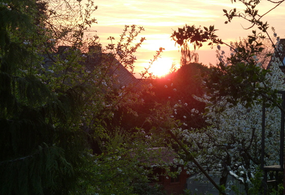 P1070263P-Die Sonne und unser Planet auf unserer Terrasse-560