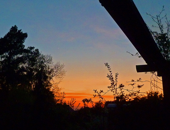 P1070289-Abendstern-560