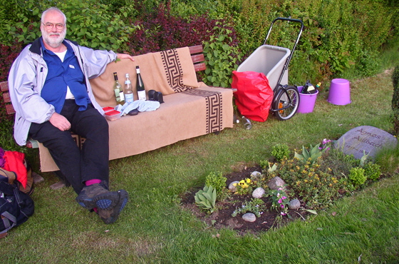 P5161333-Kater auf Friedhofsbank-560
