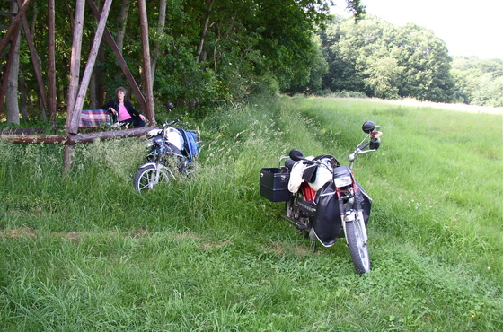 P6061710-Blick auf Mopeds, Hase, Waldrand  Weg-560