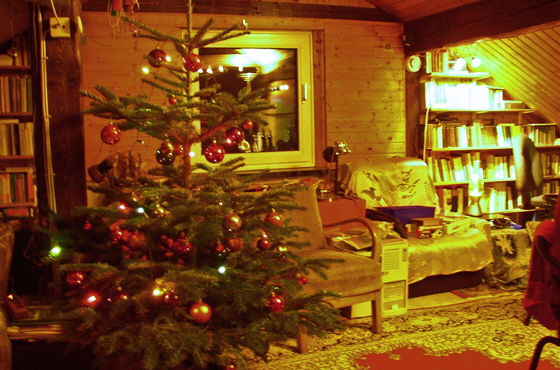 PC246510-Weinachtsbaum-560